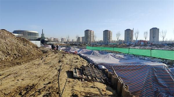 东营将再添一座体育公园利津县凤鸣智慧体育公园即将完工(图3)