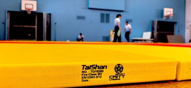 完美体育网站泰山体育助力2024巴黎奥运会：“中国智造”器材就绪全球顶尖赛事蓄势待发(图2)