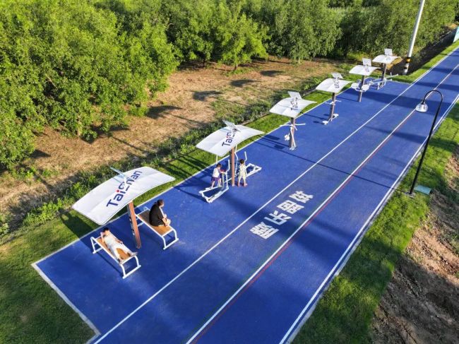 泰山体育亮相第25届广东体博会暨第21届粤港澳国际体博会(图9)