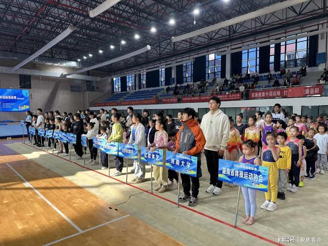 2024年体操等级赛湖南岳阳站圆满落幕(图2)