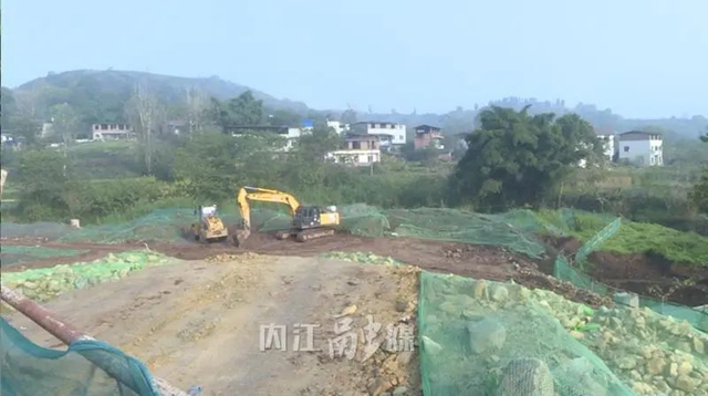 联合承办省运会！内江打响“发令枪”(图7)