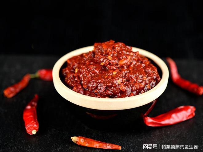 如何使用蒸汽发生器生产豆瓣酱？(图3)