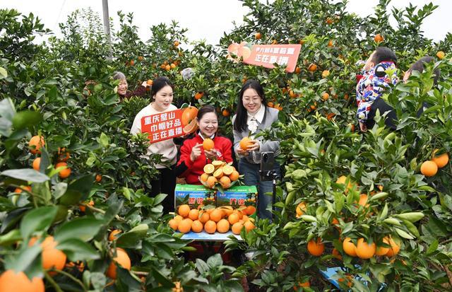 完美体育网站2024影像盘点｜定格平凡人的不凡之光—摄影师杨波(图9)