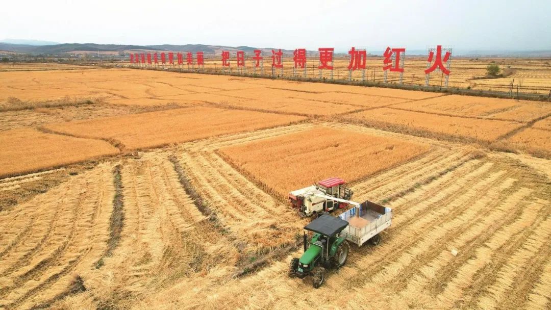 延边朝鲜族自治州人民政府完美体育网站(图3)