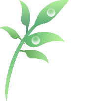 豆完美体育网站瓣酱“爱上”老鹰茶非遗焕新香飘万里(图5)