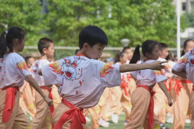 明确了！全市中小学生掌握1-2套咏春拳、蔡完美体育李佛拳或其他拳术(图2)