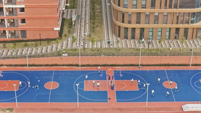 明确了！全市中小学生掌握1-2套咏春拳、蔡完美体育李佛拳或其他拳术(图10)