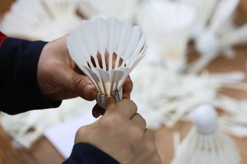 完美体育12个词重温中国体育产业的2024(图7)