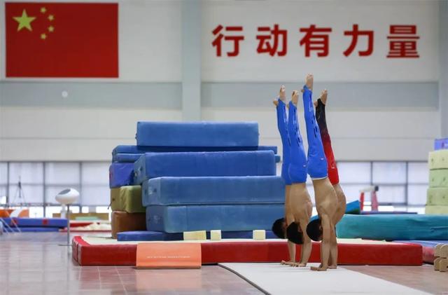 主动求变取长补短上海体操队引进外教助力备战全运(图4)