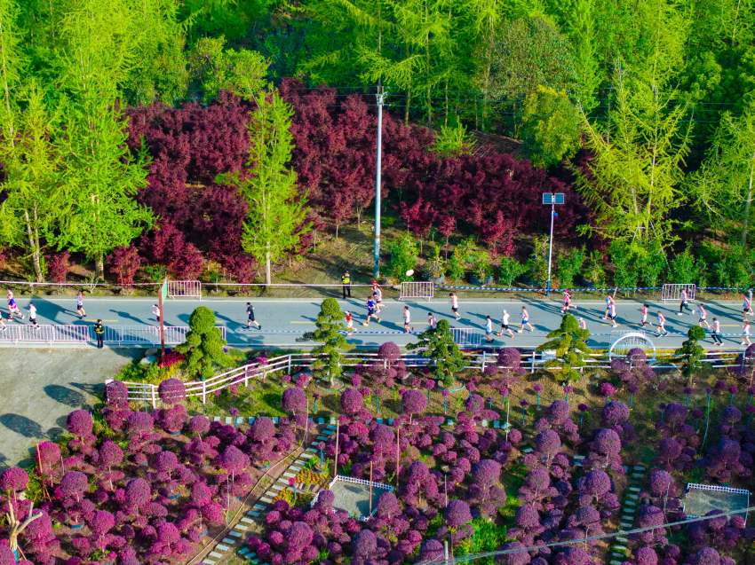 “大美田园·乐跑温江”2025温江半程马拉松开跑万名跑者共赴春日之约(图4)