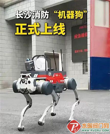 完美体育网站闽山、青鸟、尼特、及安盾、赋安、南消、洪都等发布最新动态(图21)