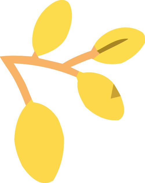 特长生相关完美体育网站问题合集(图8)