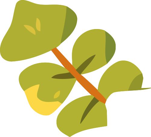 特长生相关完美体育网站问题合集(图9)