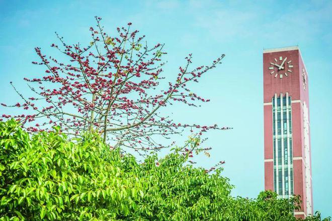 特长生相关完美体育网站问题合集(图12)