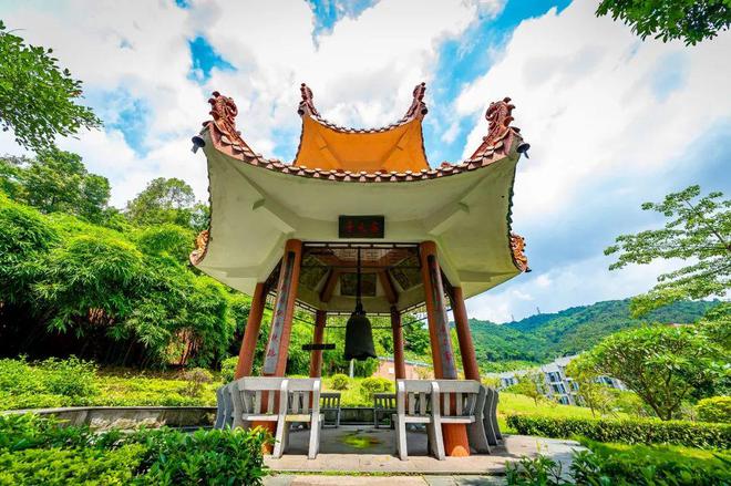 特长生相关完美体育网站问题合集(图11)