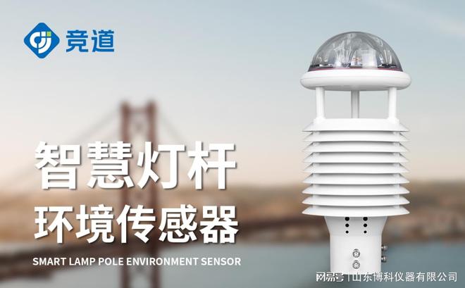智慧灯杆环境监测传感器：小设备大作用守护环境安全(图2)