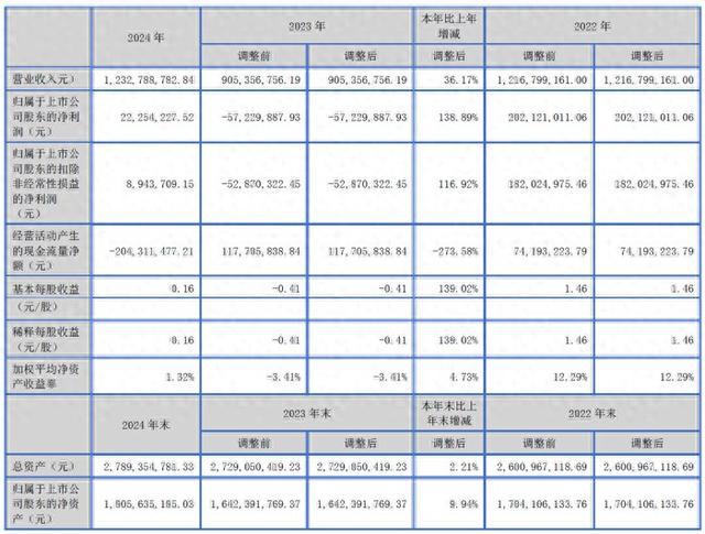 博杰股份2024年财报：营收1233亿元同增3617%(图1)