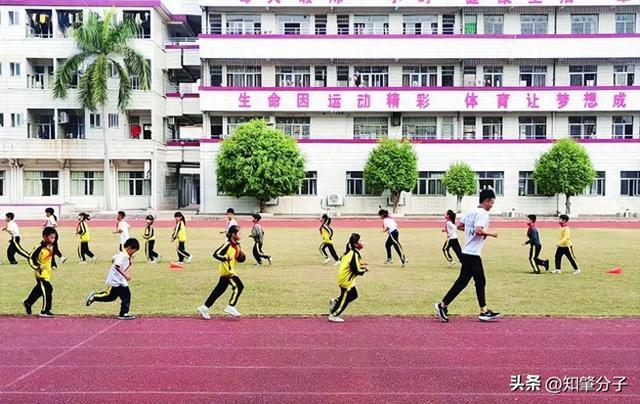 高要“教体融合”书写学生体质提升“活力答卷”(图1)