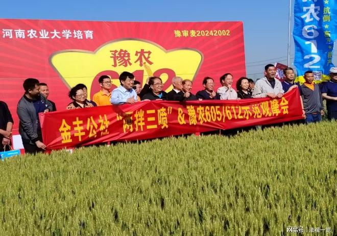 小麦新品种“豫农605”和“豫农612”观摩会在新乡成功召开(图5)