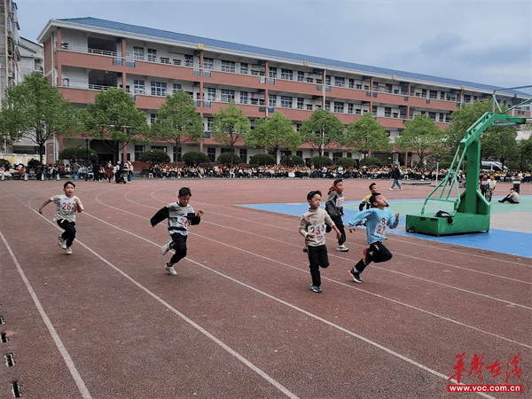 活力赛场逐梦奔跑辰溪县黄溪口镇中心小学2025秋季田径运动完美体育网站会圆满落幕(图2)