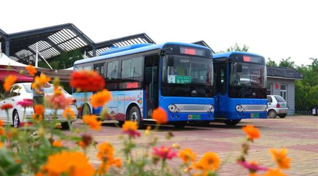 数字为翼、产业为基、文旅为媒乐陵以民生底色绘就特产兴城新图景(图8)