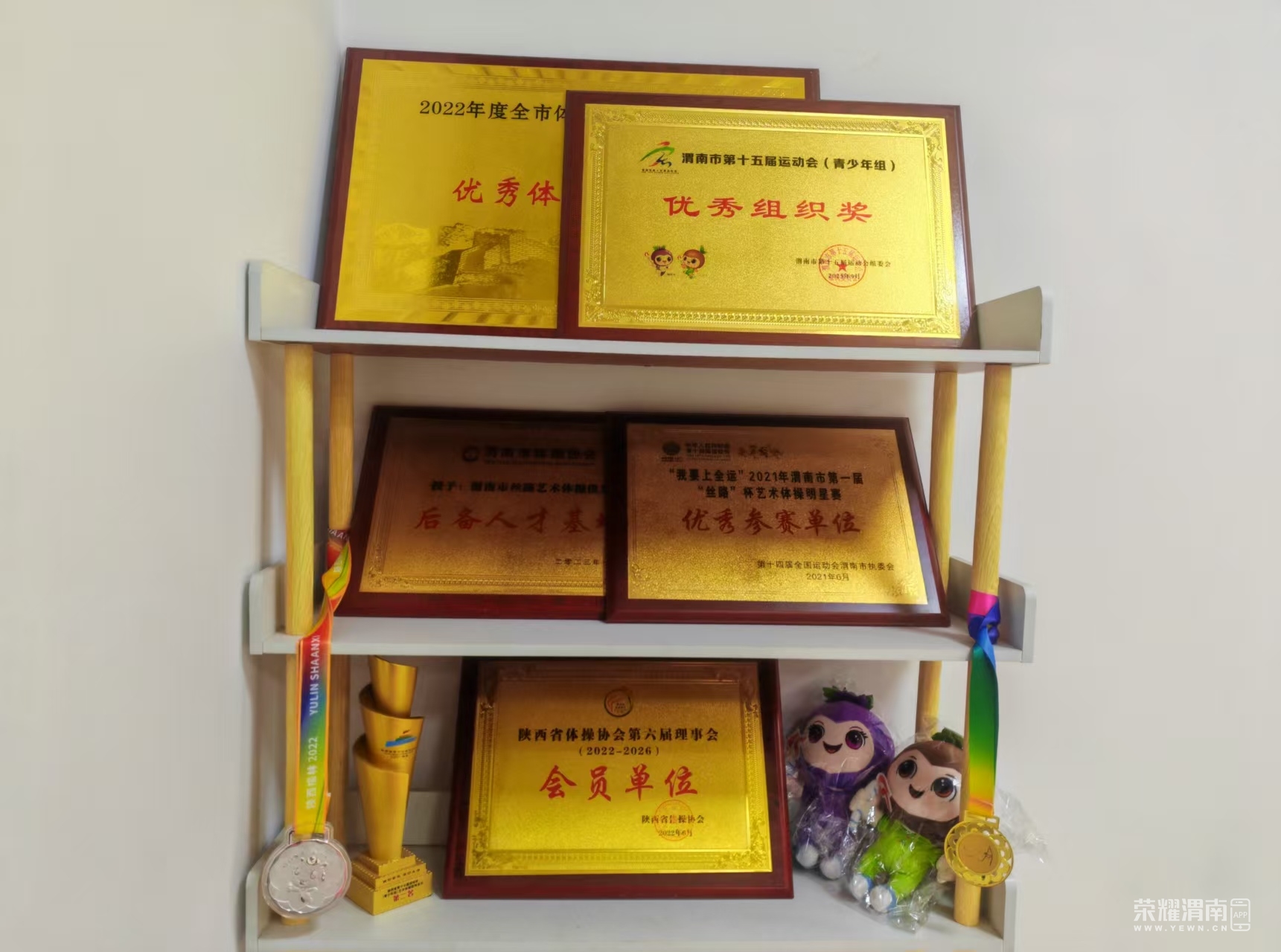 渭南市丝路艺术体操俱乐部荣获“陕西省青少年体操俱乐部”五星级(图2)