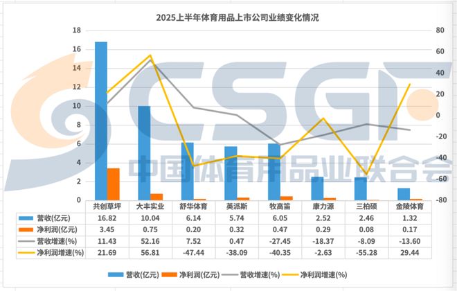 完美体育「百亿」目标下体育用品业的布局与突围(图2)