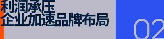 完美体育「百亿」目标下体育用品业的布局与突围(图7)